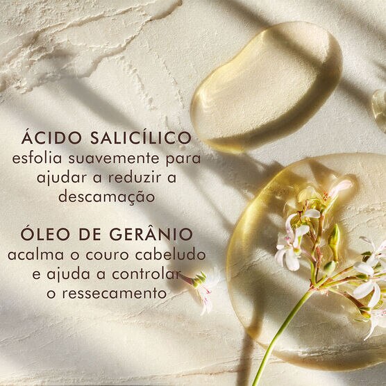 Tratamento para Couro Cabeludo Seco Moroccanoil Dry Scalp Treatment